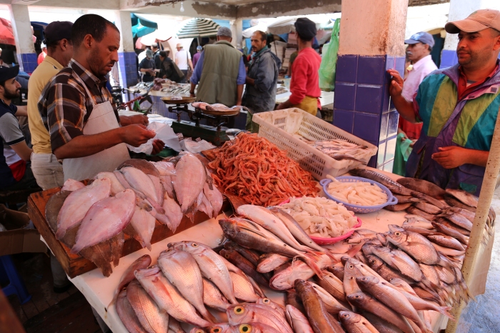 Fish vendor in Essaouira.