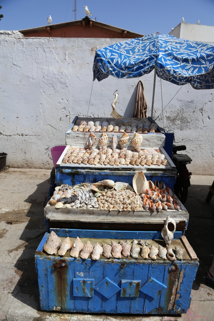 Shells for sale in Essaouira.
